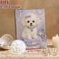 Preview: Diamond Painting Bichon Frisé